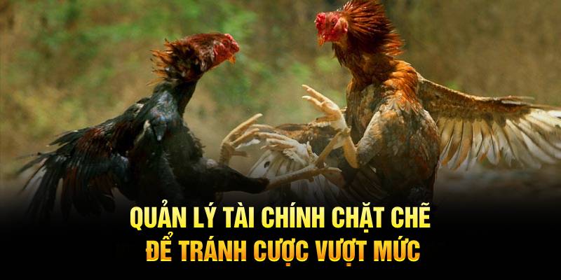 Quản lý tài chính chặt chẽ để tránh cược vượt mức