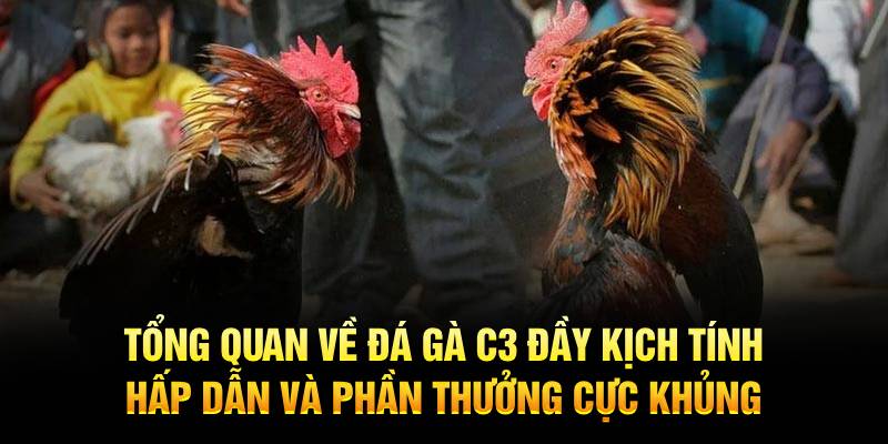 Tổng quan về đá gà C3 đầy kịch tính, hấp dẫn và phần thưởng cực khủng